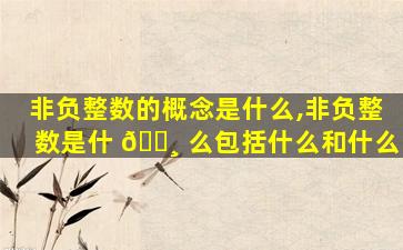 非负整数的概念是什么,非负整数是什 🌸 么包括什么和什么